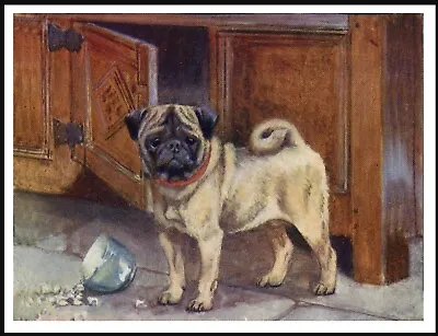 £4.99 • Buy Pug Naughty Dog Steals From Cupboard Lovely  Vintage Style Dog Art Print Poster 