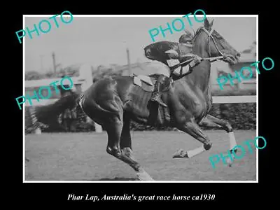 OLD 8x6 HORSE RACING PHOTO OF PHAR LAP AUSTRALIAS GREAT RACE HORSE C1930 • $9