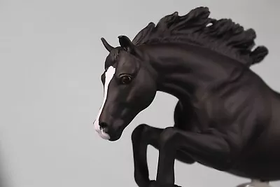 Stunning Breyer Model Horse Custom- Newsworthy To A Gorgeous Black Jumping Pony • $431.60