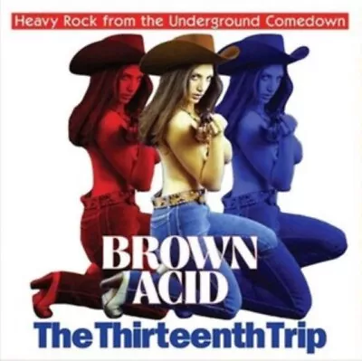 VARIOUS ARTISTS - BROWN ACID - THE THIRTEENTH TRIP - New Vinyl Record - G8200z • $32.77