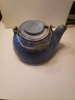 Antique/Vintage Heavy Cast Iron Tea Pot • $28