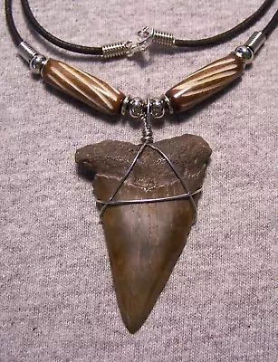 Mako Shark Tooth Necklace 2 1/8  Shark Teeth Fossil Jaw Megalodon Diver Huge! • $35