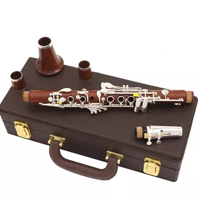 New Eb 18 Keys Professional Clarinet Rose Wood Clarinet E Flat Sweet Tone • $630