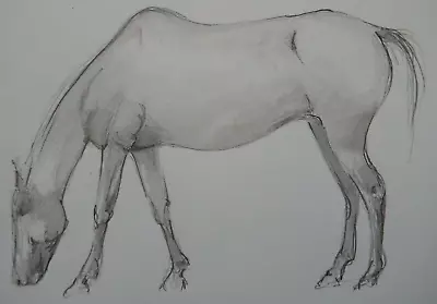 Tonal Sketch After A  Drawing By Edgar Degas Of A Horse On Ivory Paper • £29.99