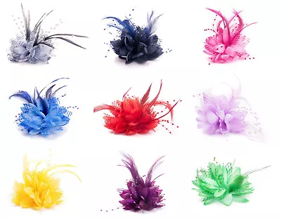 Flower Feather Fascinator Bead Beak Hair Clip Brooch Ladies Day Ascot Races • £4.95