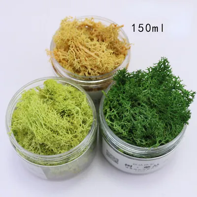 Miniatures Shrubs Clusters HO/OO Scale Grass Forest Plant War Games Scene Model • $6.49