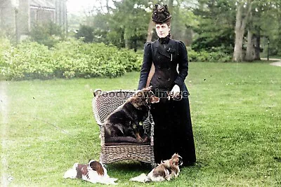 Col0010 - Queen Alexandra With Her Dogs In The Garden - Print 6x4 • £2.20