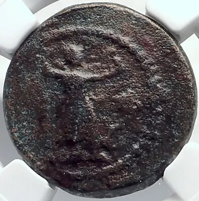 EPHESOS In IONIA Authentic Ancient 50BC Greek Coin Of JASON W ARTEMIS NGC I81850 • $298.80