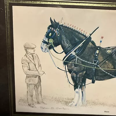 Shire Horse By Peter S Carter. Framed Vintage Print From Anglesey Pictures. • £7