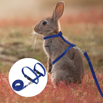 Rabbit Stretchy Leash Bunny Rabbit Harness Bunny Harness Leash • £7.49