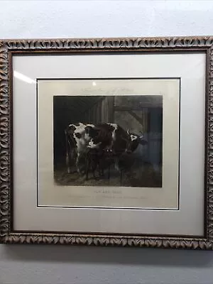 COW & CALF PAINTED By J.F. HERRING SR  ENGRAVED By J. HARRIS & W. SUMMERS 1855 • $340