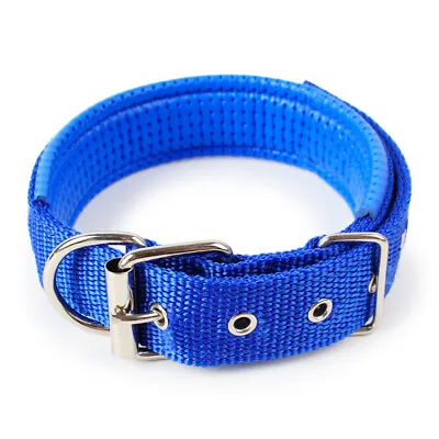£3.49 • Buy Dog Collar Padded Eyelet Nylon Metal Pet Puppy Cat Adjustable Collars Blue UK
