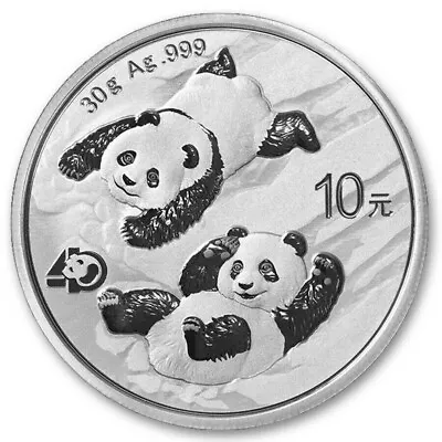 2022 10 Yuan Silver Chinese Panda .999 30g Brilliant Uncirculated - In Capsule • $50.57