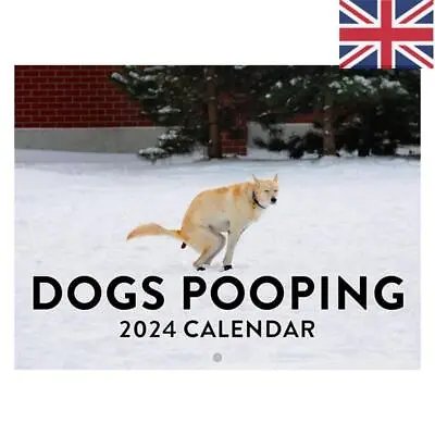 2024Dog Pooping Wall Calendar Pooches Calendar Funny Daily Organiser Calendar UK • £7.92