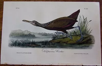 Scolopaceous Courlan Audubon 1st Edition 1840 Hand Colored  Litho J.t.bowen • $67.50