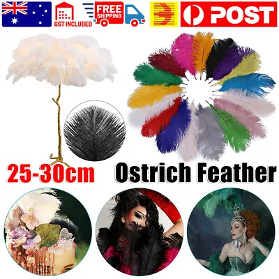 5pcs Ostrich Feathers 25-30cm 12 Colours Craft Cake Wedding Party Decoration AU • $5.45