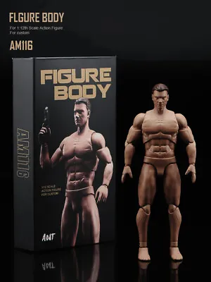 US STOCK 1:12 Flexible Muscular Male Strong Joint Suntan Figure Body Head Doll • $18.40