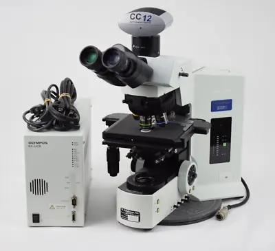 OLYMPUS BX61 BX-UCB Motorized Fluorescence Microscope CC12 Soft Imaging System • $6480