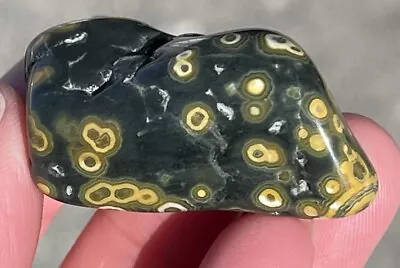 Polished Ocean Jasper Freeform Madagascar 21g Orbicular 8th Vein • $11.85