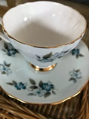 Colclough Bone China Tea Cup & Saucer. Pattern No. 8182. • £6.50