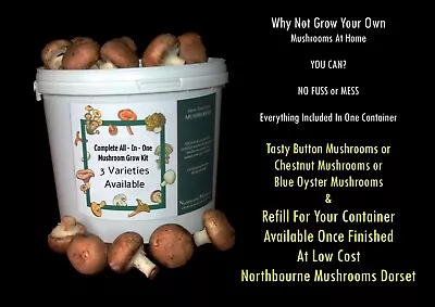 GROW YOUR OWN MUSHROOM KIT  All-In-One Easy Grow • £25