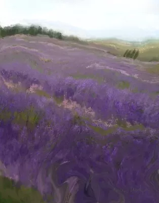 ACEO ATC Signed Print French Lavender Field France Art Artist Trading Card • £6.21