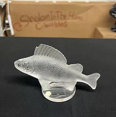 Signed Lalique France Crystal Frosted Perch Fish Figurine Check Pics FAST SHIP • £118.77