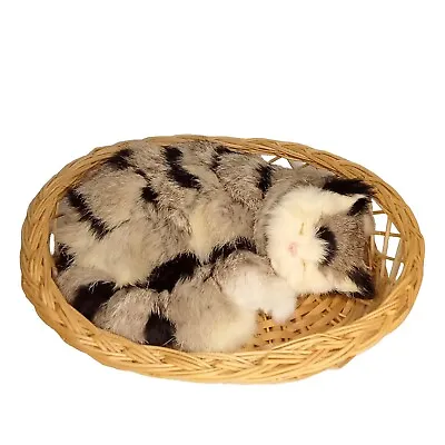 CAT IN BASKET Vintage Realistic Fur Toy Soft Tabby Realistic Sleeping Kitten • $36.58