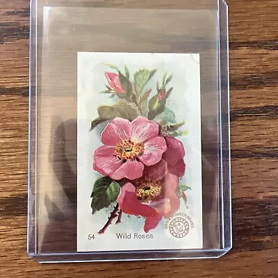 Arm & Hammer Wild Roses Beautiful Flowers Series #54 Victorian Trade Card *VT19 • $6