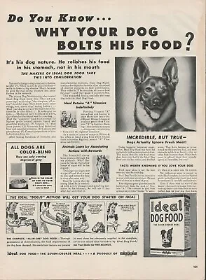 1943 Ideal Dog Food Seven-Course Meal German Shepherd Vintage Print Ad L11 • $9.99