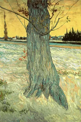 Van Gogh Oil Painting Canvas Print-Trunk Of An Old Yew Tree • $16.90