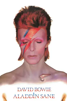 (372) Maxi Poster David Bowie Aladdin Sane Iconic Singer Ziggy Stardust Music • £7.25