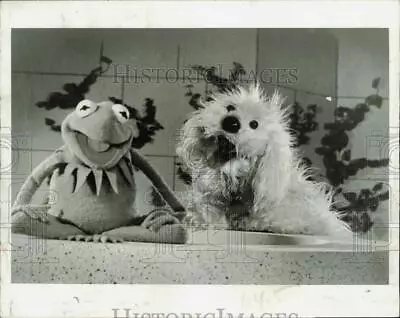 1972 Press Photo Kermit The Frog With His Buddy Rufus On  Tales From Muppetland  • $24.88