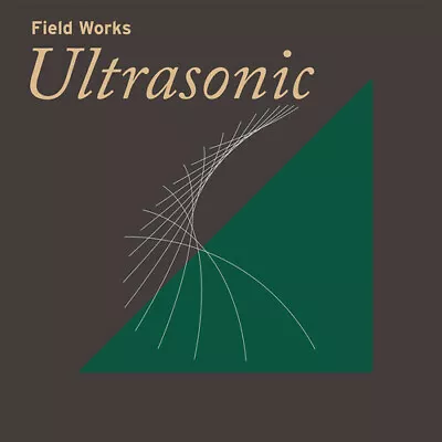 Various - Field Works: Ultrasonic / Various [New Vinyl LP] • $33.27