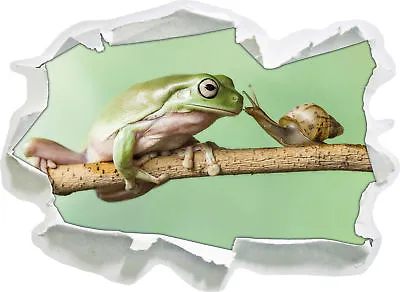 The Frog And The Snail - 3D Look Paper Wall Tattoo Sticker Sticker • £17.20