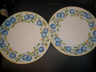 Mikasa Country Cheer Dinner Plates 11” Japan DW 103 Set Of 2 Excellent • $27.99