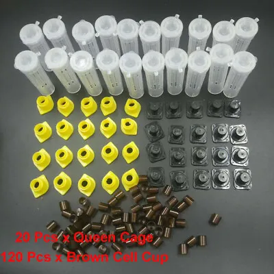Bee Queen Rearing Cupkit Complete Box System Beekeeping Cage Kit / Set Cup NEW • $14.89