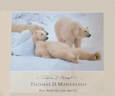 Signed Thomas D. Mangelsen Poster: Bad Boys Of The Arctic • $300