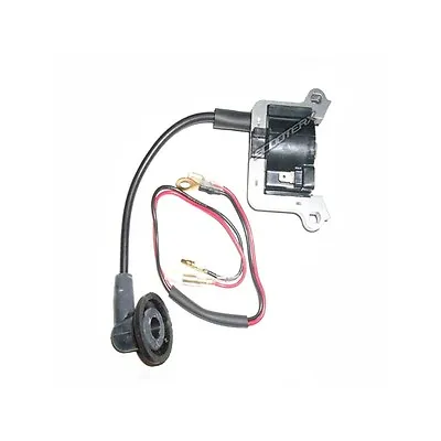 Ignition Coil For 49cc 52cc Engine Gas Scooter Motor Part Petrol Mini Dirtbike • $24.95