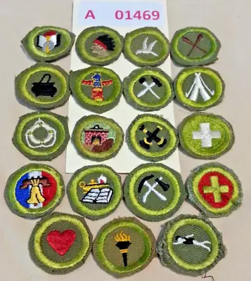 Bsa  Merit Badge Lot Of 19 Type E (47-60) Narrow Border A01469 • $21