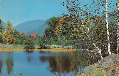 Mount Holly NJ New Jersey Fall Foliage Scenic Pond Landscape Vintage Postcard • $6.39