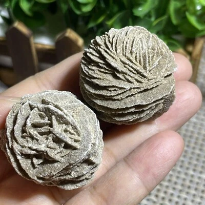$12.35 • Buy 2pcs Desert Rose Selenite Stone Natural Quartz Crystal Specimen Decor 73g A2