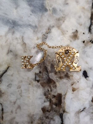 $599.99 • Buy Chi Omega Sorority Badge 10k Yellow Gold Pearls Skull Owl Pin Vintage Greek
