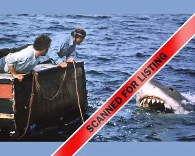 JAWS Hooper & Quint Looking At Bruce The Shark Off The Orca 8X10 PHOTO #167 • $12.95