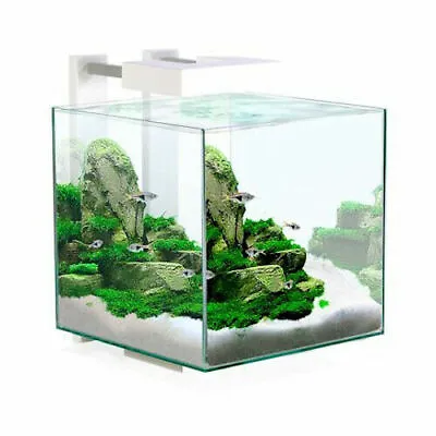 Ciano Shrimp Aquarium Tank NEXUS 15 With CF40 Internal Filter Led Lighting 14.5L • £64.95