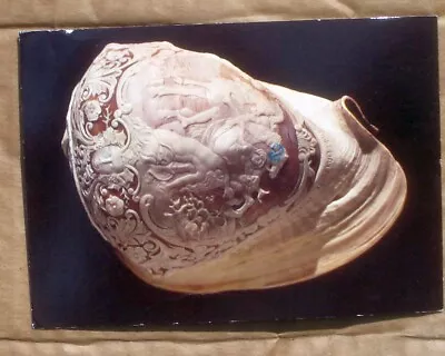 Delaware DE Museum Natural History Carved Helmet Shell  Vtg 1991 Postcard • $6.99