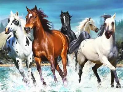 $17.95 • Buy 5D Diamond Painting Kit Full Round Drill 5 Horses 30X20 Craft Art Home Decor