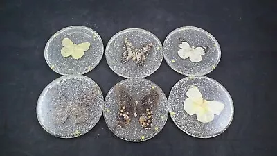 6 Vintage Lucite ResIn Coasters Abalone Butterfly Mid Century  • $15.99