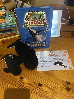 My Animal Kingdom | All About Whales | 2 Toys Hard Book Certificate Inc. • £8.50