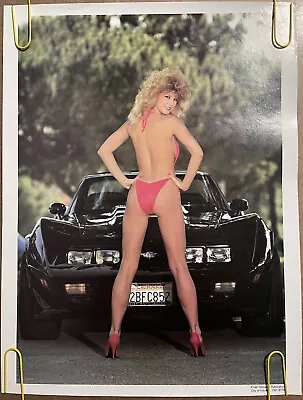 Corvette Sports Car Original Vintage Poster Sexy Woman Cars Pin Up Sports Car • $85.85